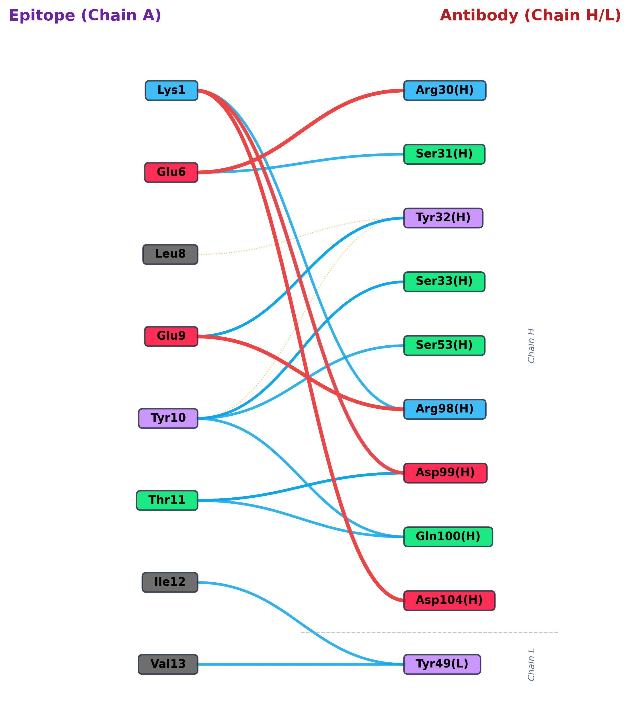 Interaction network for antibody heavy and light chains vs epitope, with a chain divider