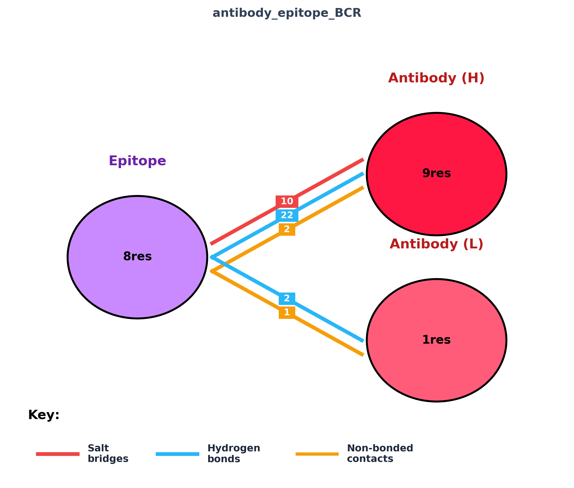 Three-bubble summary for antibody heavy chain, light chain, and epitope